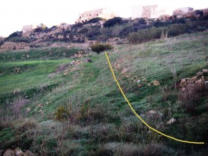 Turn right, uphill.  The bush is more-or-less across the ill-defined path