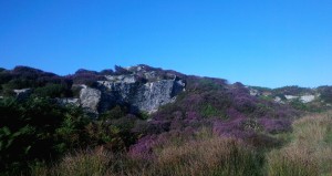 Pendeen Carn Quarry