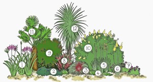 cornish_exotic_collection