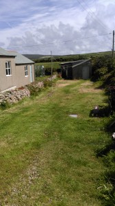 Shed garden
