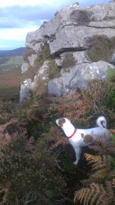 Fred on Carn Gulva