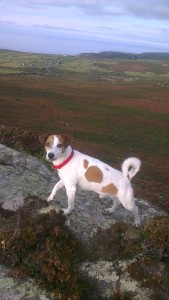 Fred on Carn Gulva
